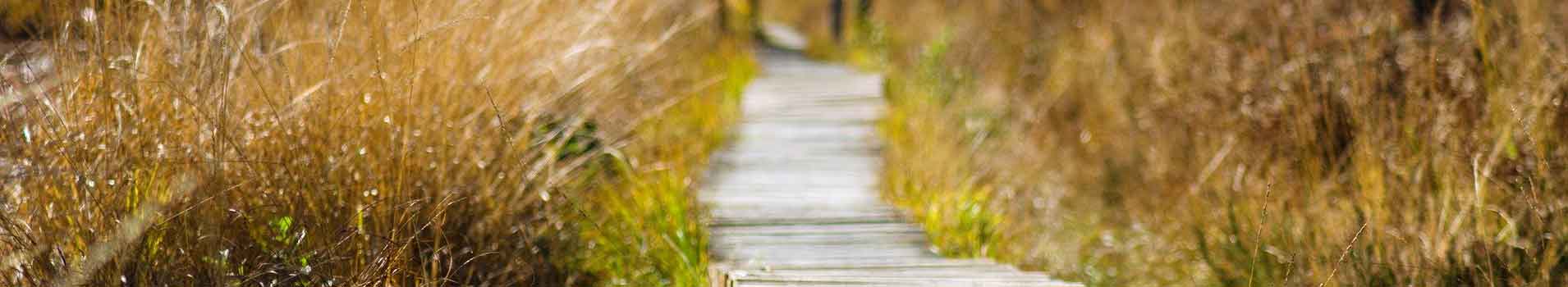 marais-cotentin-normandie