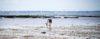 pêche à pied Normandie