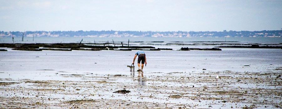 pêche à pied Normandie