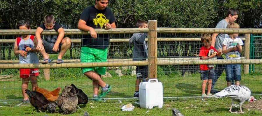 camping utah beach zoo