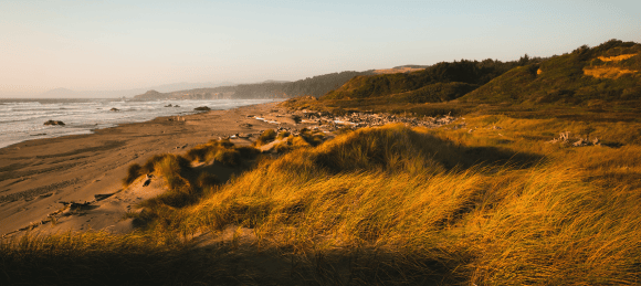 plage debarquement